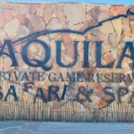 Aquila Game Reserve Sunset Safari - What Makes This Safari Stand Out
