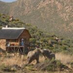 Aquila Safari Private Game Reserve Early Morning Game Drive - Final Thoughts