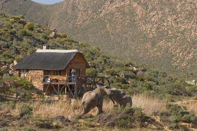 Aquila Safari Private Game Reserve Early Morning Game Drive - Final Thoughts