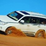 Arabian Desert Safari with BBQ Dinner & Camel Riding - Practical Insights and Tips