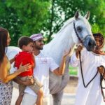 Arabian Morning Horse Riding & Stable Tour - What We Love About This Tour
