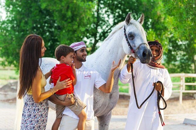 Arabian Morning Horse Riding & Stable Tour - What We Love About This Tour
