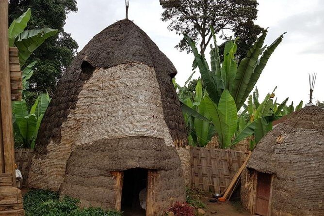 Arba Minch, Dorze Tribe, Konso, and Awasa Private 4 Days Tour from Addis Ababa - Transportation and Pricing: What Does It Mean for You?