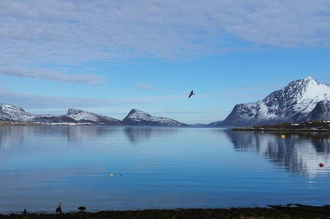 Arctic fjord and Landscape Tour - Value and Cost Analysis