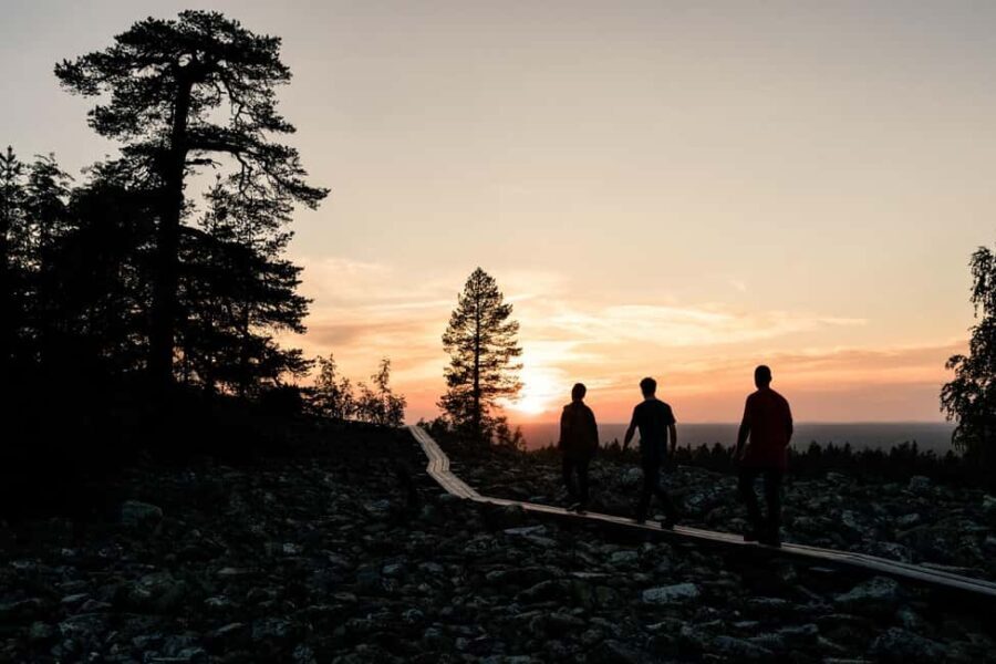 Arctic Wilderness Hike from Rovaniemi (Day & Evening) - The Practical Side: Logistics and What Matters