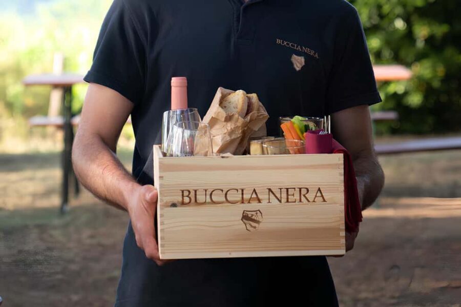 Arezzo: Tuscan Vineyard Picnic with Wine and Local Food - Practical Details and Value