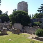 Arles and Camargue Full-Day Tour including Aigues Mortes - Practical Details and Why They Matter