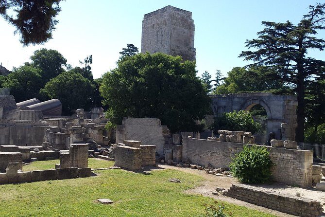 Arles and Camargue Full-Day Tour including Aigues Mortes - Practical Details and Why They Matter