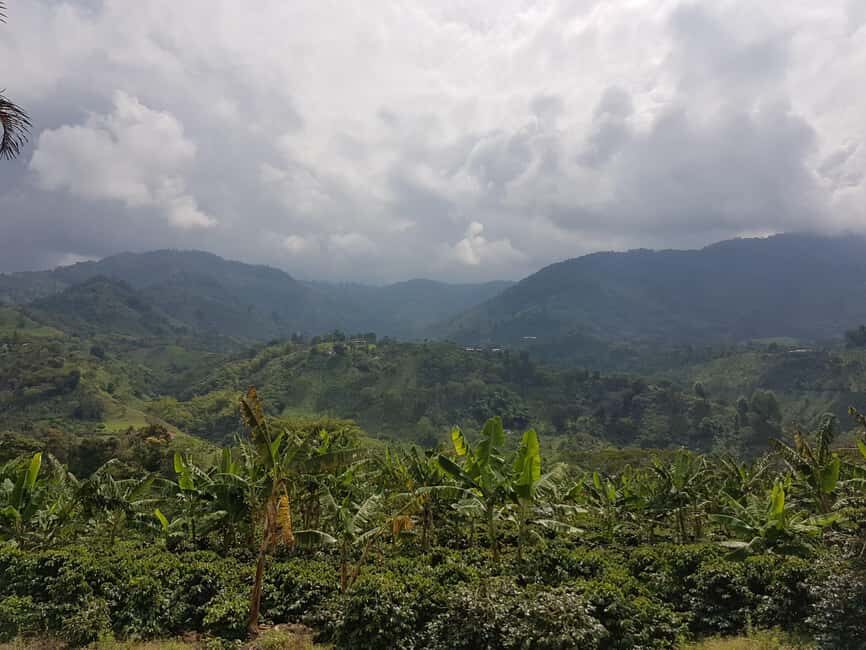Armenia, Quindío: Traditional coffee farm tour with roasting and transportation - Practical Details and Value