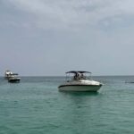 Arrábida: Boat Tour along the Coast - What You Need to Know Before Booking