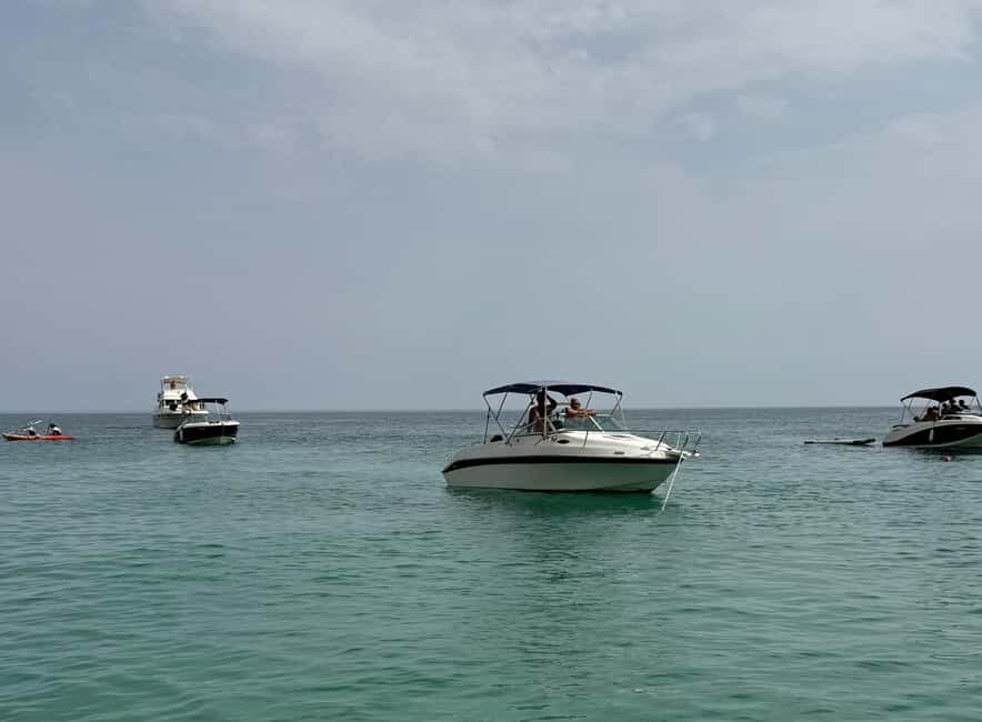 Arrábida: Boat Tour along the Coast - What You Need to Know Before Booking