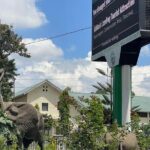 Arusha City Culture and Historical Walking Tour - What Makes This Tour Stand Out?