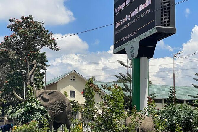 Arusha City Culture and Historical Walking Tour - What Makes This Tour Stand Out?