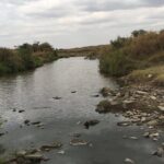 Arusha National Park Safari by Jeep - The Experience in Detail