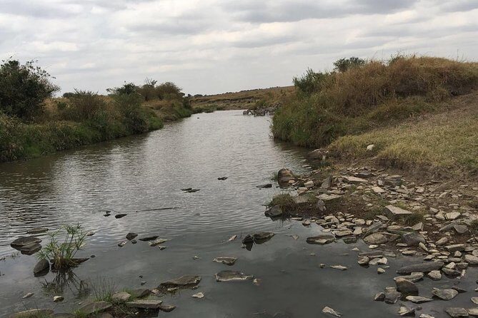Arusha National Park Safari by Jeep - The Experience in Detail