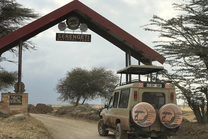 Arusha Private Transport Service in Tanzania - Final Thoughts: Who Should Consider This Service?