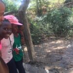 Arusha Snake Park, Camel Ride, Shanga & Arusha Cultural Heritage - Full Day Trip - Practical Details and What to Expect