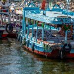 Aswan Botanical Garden & Private Felucca Tour - Practical Details and Experience Tips
