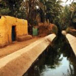 Aswan Nubian Village and Botanical Garden - Transport and Logistical Details