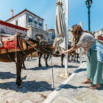 Athens: Hydra, Poros & Aegina Day Cruise with Lunch - The Onboard Experience: Food, Music, and Atmosphere