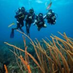 Athens: Snorkeling Tour - What to Expect on the Athens Snorkeling Tour