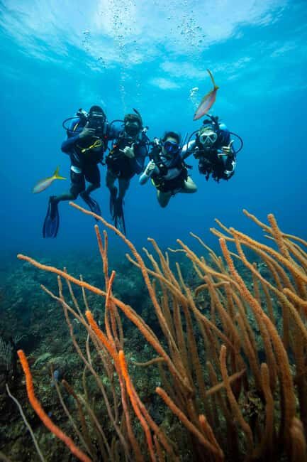Athens: Snorkeling Tour - What to Expect on the Athens Snorkeling Tour