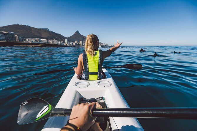 Atlantic Outlook Kayak Tour Cape Town - Why This Tour Offers Value and Authenticity