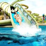 Atlantis Water Park Admission with Private Transfers - Why Travelers Love This Tour