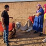 Atlas Bound: Marrakech's 5 Valleys Expedition - Transport and Group Size