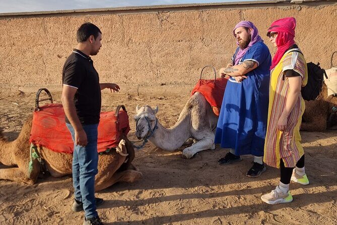 Atlas Bound: Marrakech's 5 Valleys Expedition - Transport and Group Size