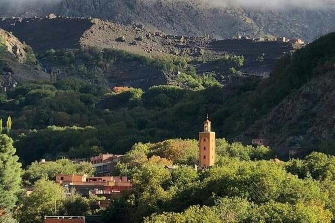 Atlas Mountain& berber village Day trip from Marrakech - Why This Tour Offers Great Value