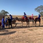 Atlas Mountain Day Trip From Marrakech - Why This Tour Works for You