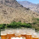 Atlas Mountain, home made lunch & camel ride in Agafay Desert - Practical Details: What You Need to Know