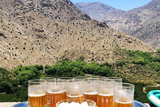 Atlas Mountain, home made lunch & camel ride in Agafay Desert - Practical Details: What You Need to Know