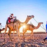 Atlas Mountains, 3 Valleys & Agafay Desert from Marrakech-DayTour - An Overview of the Tour Experience