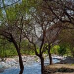 Atlas Mountains 4x4 Exclusive Private Day Tour from Marrakech - Who Will Love This Tour?
