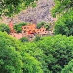 Atlas Mountains and 3 Valleys Day Trip from Marrakech - What Travelers Say: Authentic Experiences and Stunning Views