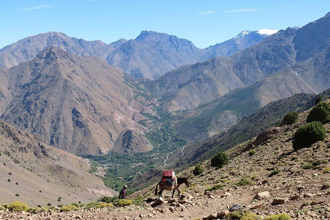 Atlas Mountains and 4 Valleys Private Tour from Marrakech - Who Should Consider This Tour?