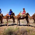 Atlas Mountains and Camel ride Day trip, from Marrakech - Why People Love This Tour