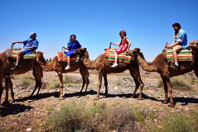 Atlas Mountains and Camel ride Day trip, from Marrakech - Why People Love This Tour