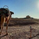 Atlas Mountains and Three Valleys & Waterfalls Guided Day Trip from Marrakech - Practical Tips and Considerations