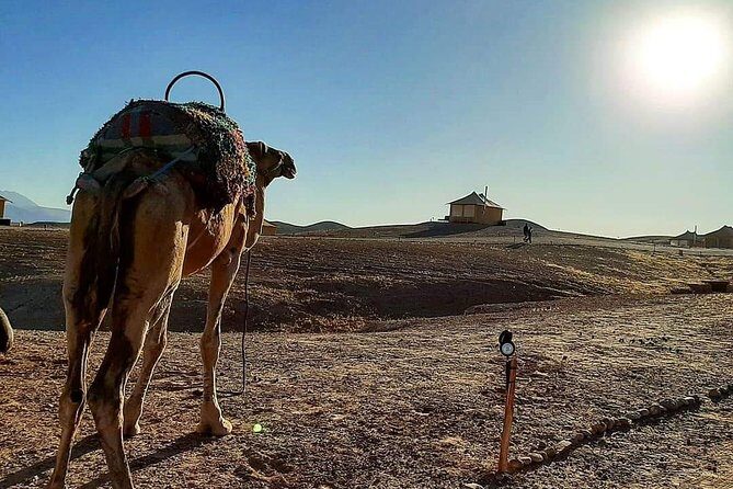 Atlas Mountains and Three Valleys & Waterfalls Guided Day Trip from Marrakech - Practical Tips and Considerations