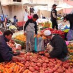 Atlas Mountains and Three Valleys & Waterfalls: Guided Day Trip From Marrakech - Transport and Comfort