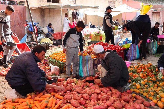 Atlas Mountains and Three Valleys & Waterfalls: Guided Day Trip From Marrakech - Transport and Comfort