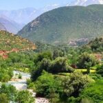 Atlas Mountains And Toubkal Massif & Waterfalls Guided Day Tour From Marrakech - What Makes This Tour Stand Out?