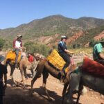 Atlas Mountains Day Tour with Camel Ride - Who Will Love This Tour?