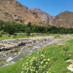 Atlas Mountains Day trip - Stop 4: Ourika Valley – Setti Fadma Waterfalls (Approximate 1-Hour Hike)