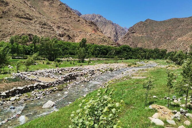 Atlas Mountains Day trip - Stop 4: Ourika Valley – Setti Fadma Waterfalls (Approximate 1-Hour Hike)