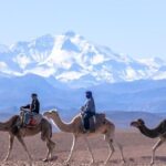 Atlas Mountains Day Trip and Camel Ride - Exploring Imlil and Its Waterfalls