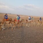Atlas Mountains Day Trip From Marrakech - The Value Proposition